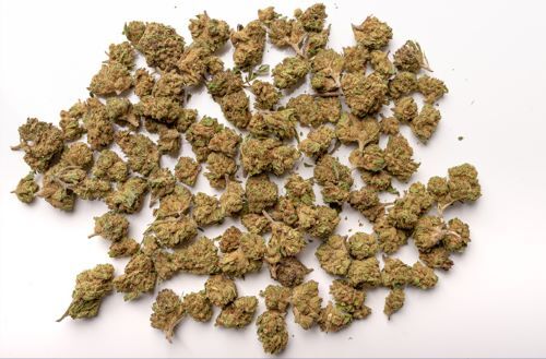 A top-down view of cannabis buds on a while surface.