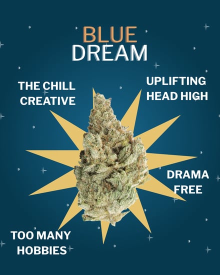 A dreamy image of a Blue Dream cannabis bud in the center of a starbust on a starry night.