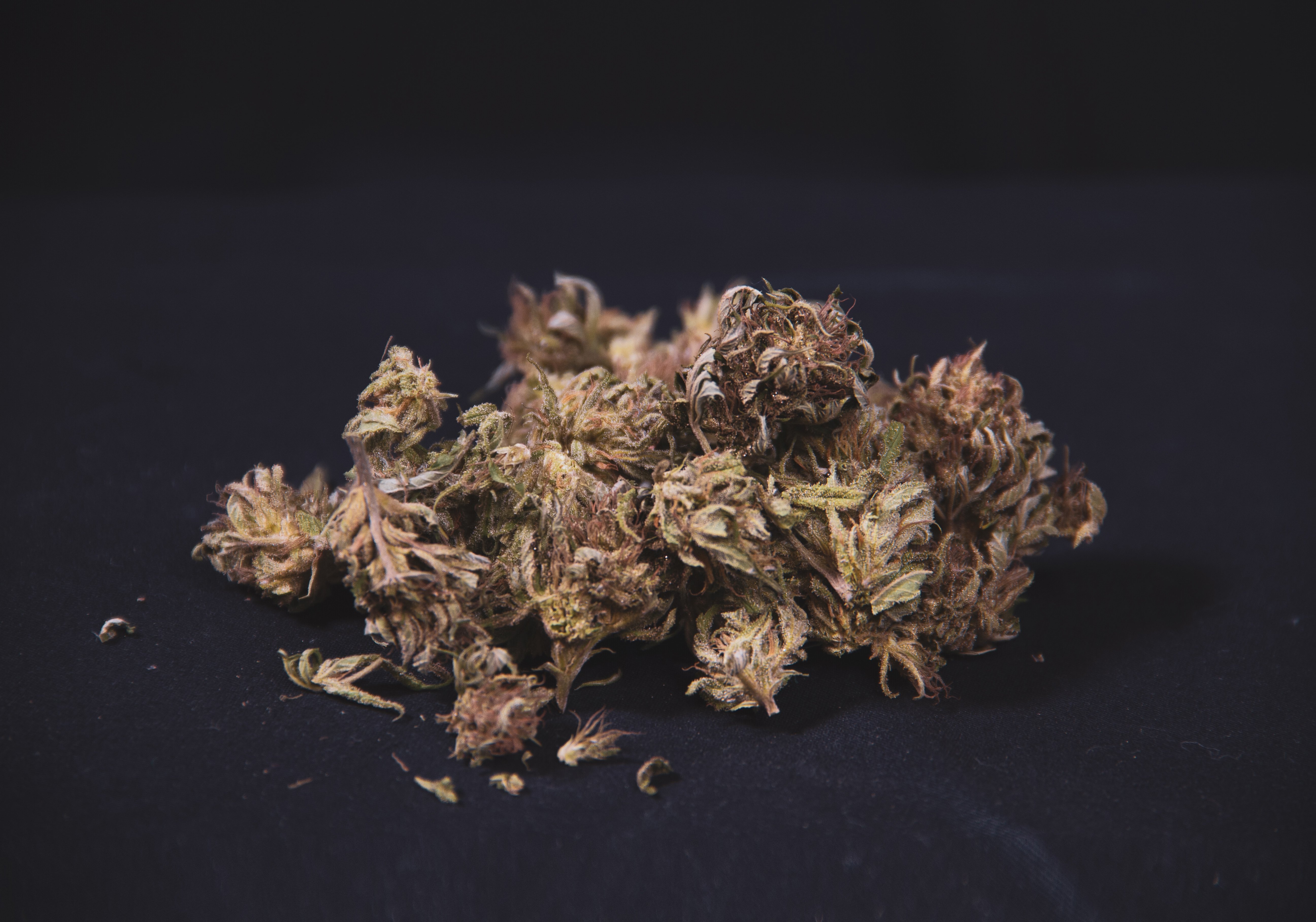 A crumbling, dried out cannabis bud on a black background.