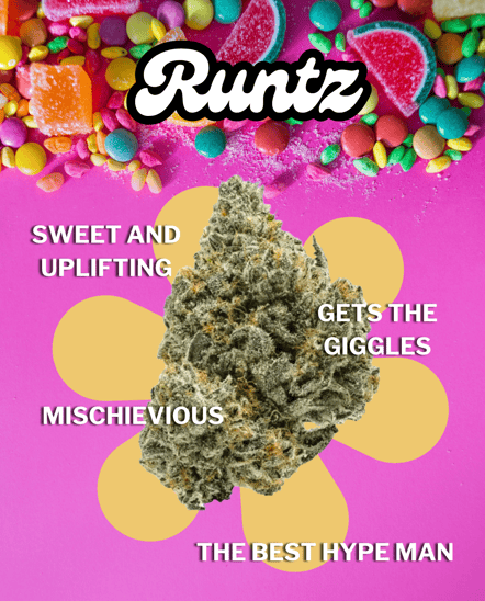 A Runtz cannabis bud sits in the center of a flower-shaped burst on a hot pink background. Brightly colored candies are scattered around the top of the image,