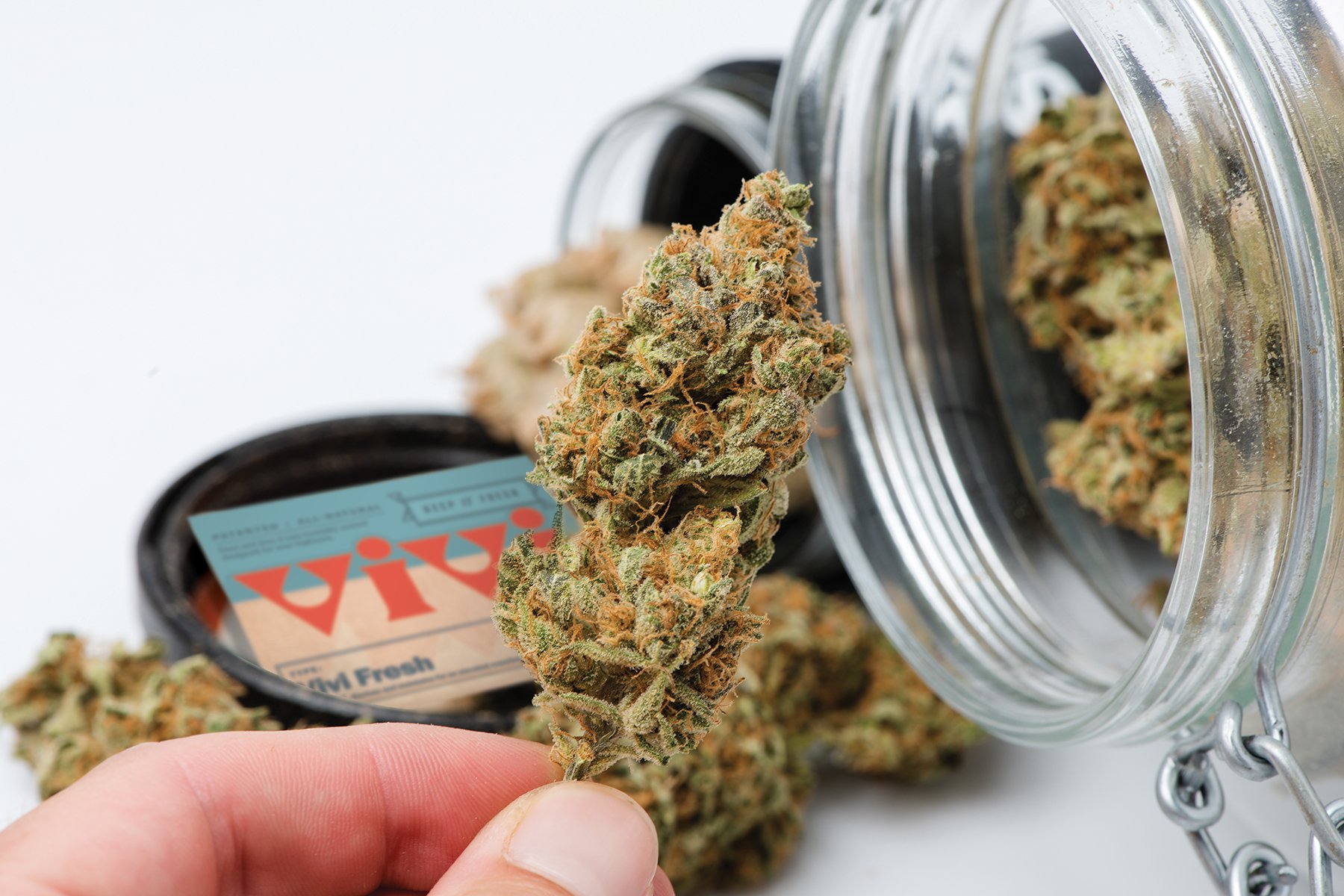 An open jar with a cannabis and a Vivi Fresh pack spilled onto a white surface. A hand holds up a bud.