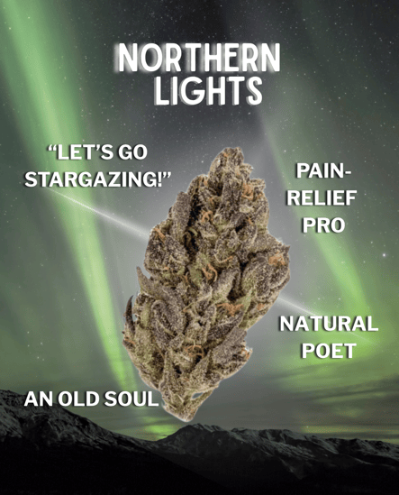 northern lights