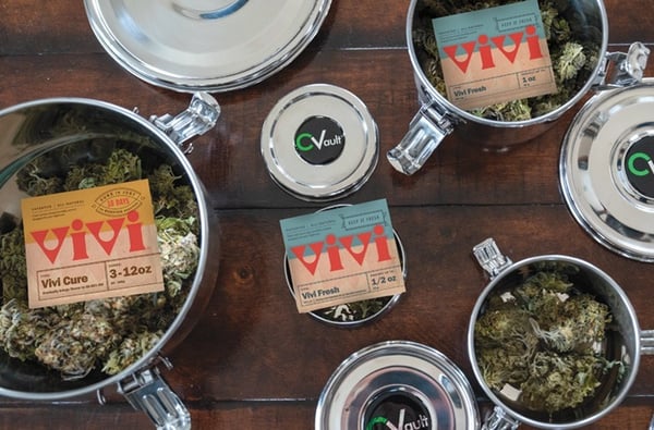 A top-down view of CVaults of different sizes. Some are open and container cannabis flower and Vivi Freah and Vivi CUre packs, others are seal closed to reveal the green, black, and white CVault logo on the lid.